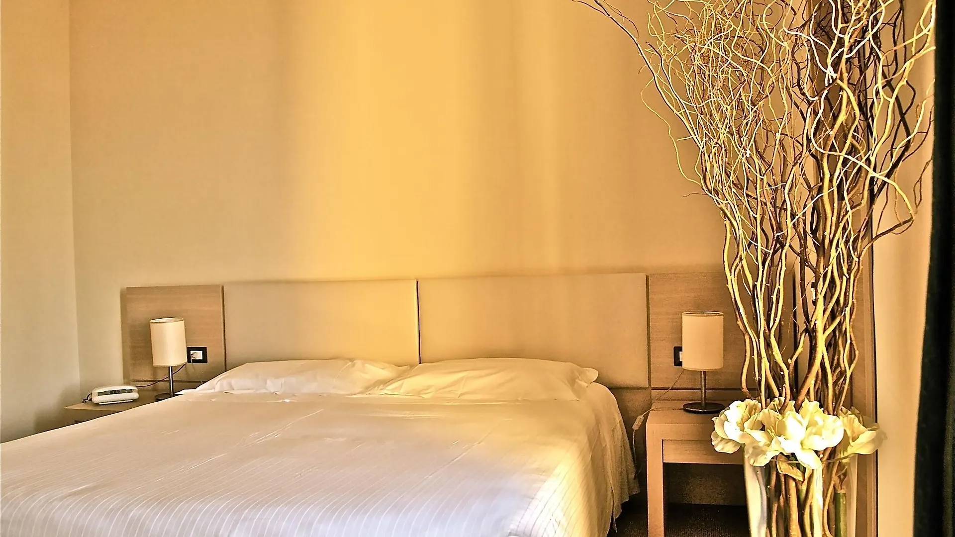 Domus Park Hotel Frascati Italië