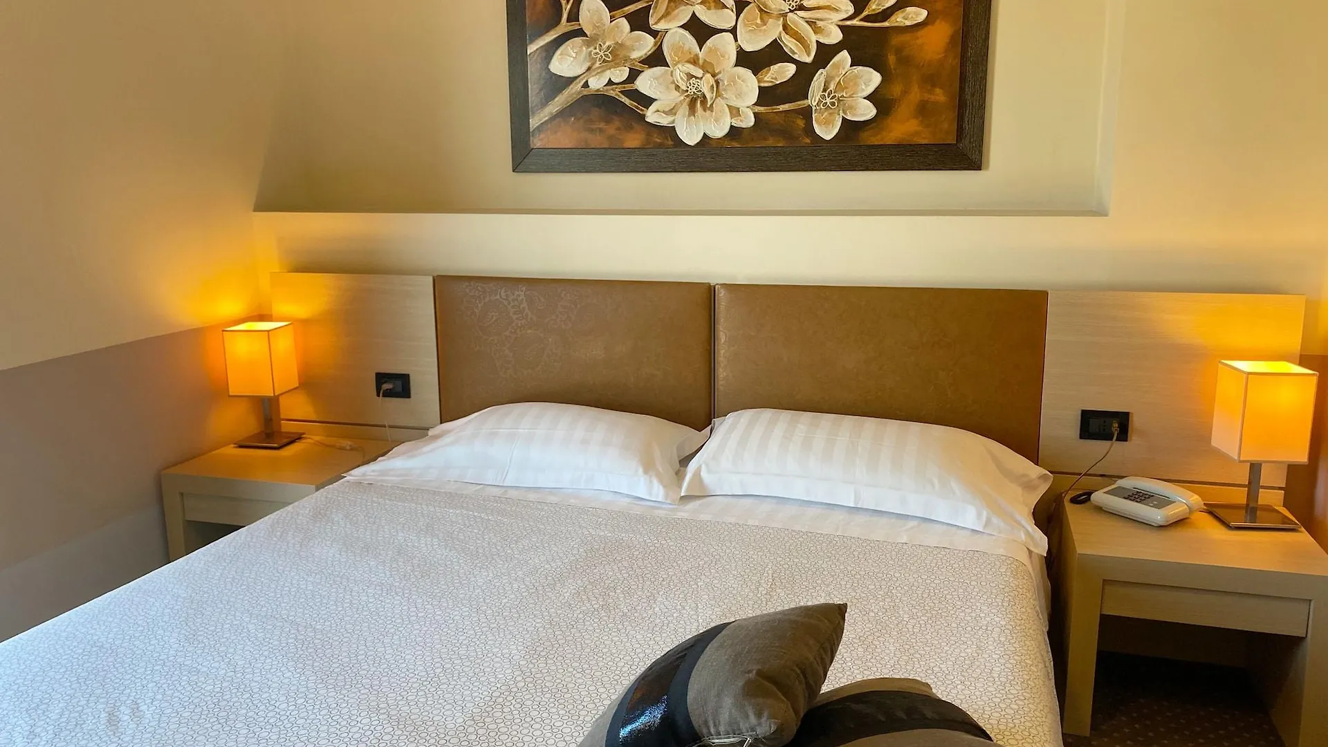 Domus Park Hotel Frascati